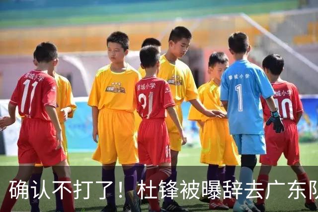 确认不打了！杜锋被曝辞去广东队主教练一职，新外教将全面接管！