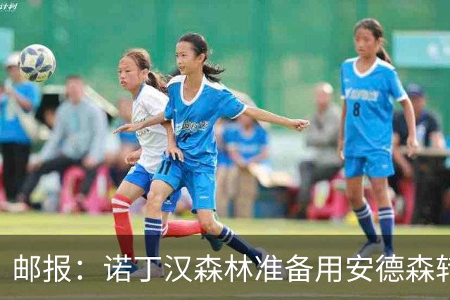 邮报：诺丁汉森林准备用安德森转会费引援，补强锋线和中场