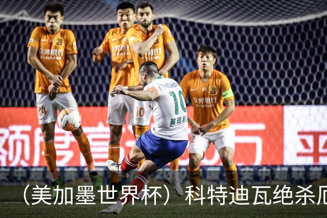 （美加墨世界杯）科特迪瓦绝杀厄瓜多尔 瑞典5:1大胜突尼斯
